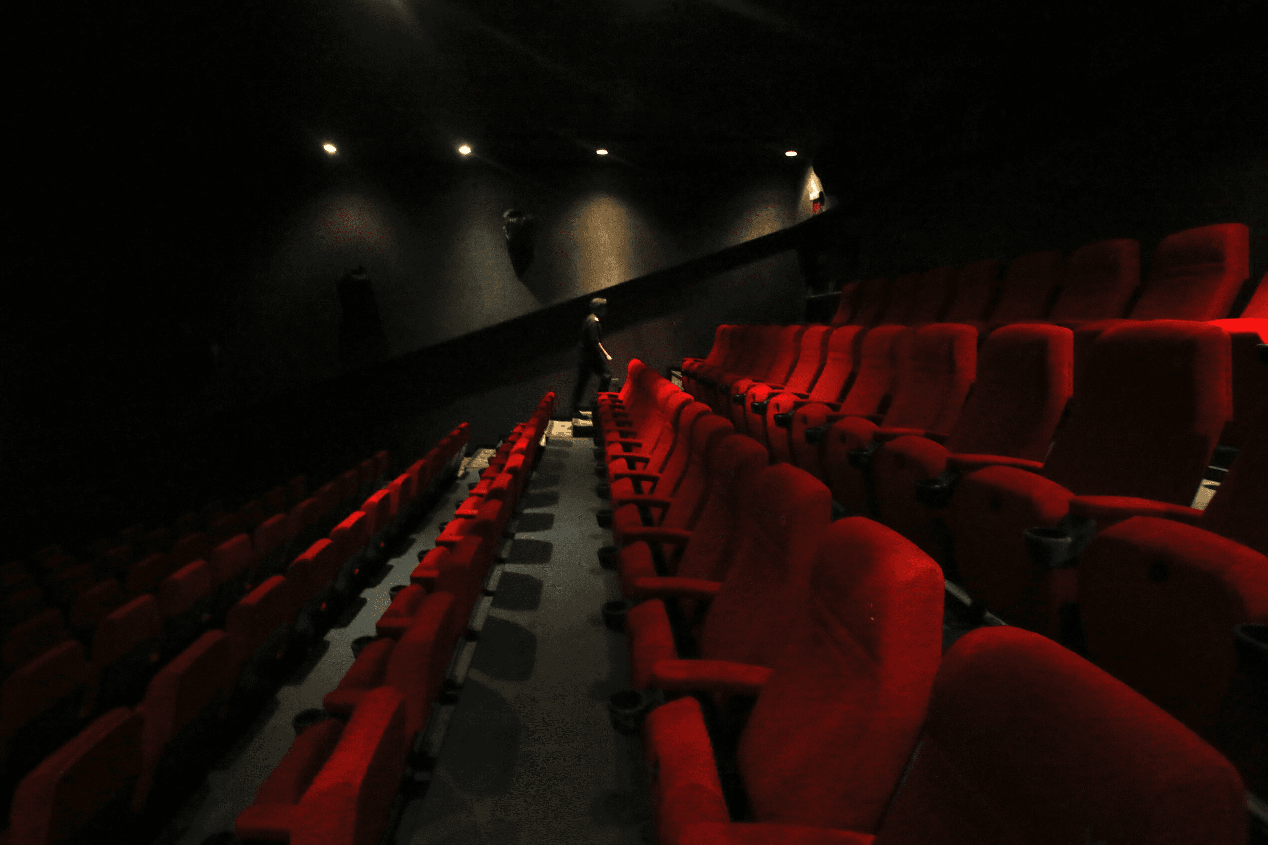 Gallery image 5